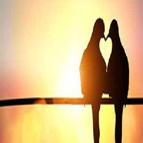 علی نصیری عمری توی قفس اسیرم غصه خدایا کرده پیرم